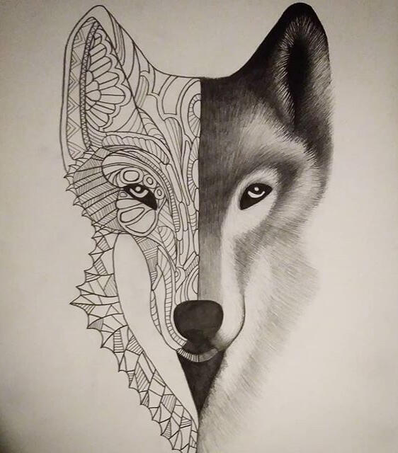 Wolf