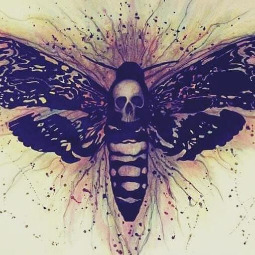 DeathHead Hawk Moth